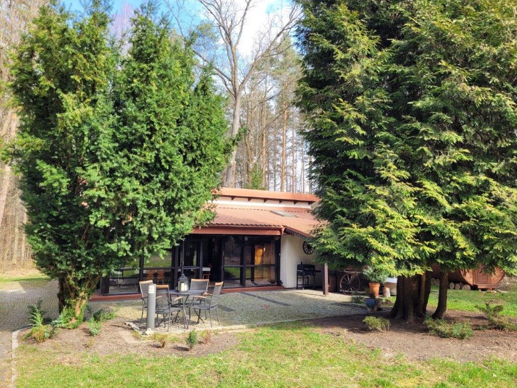 a house with trees around it